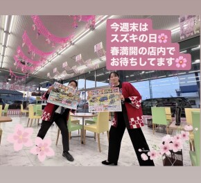 店内桜色です！スズキの日も盛り上げます！